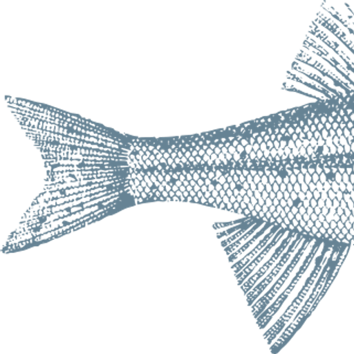 DevonSeafood