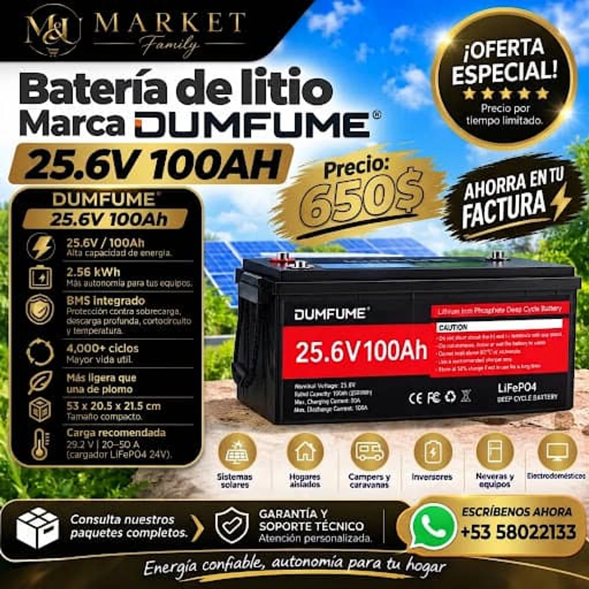 BATERIA DE LITIO LifePo4 DUMFUME 25.6 Volt 100A